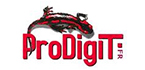 Prodigit